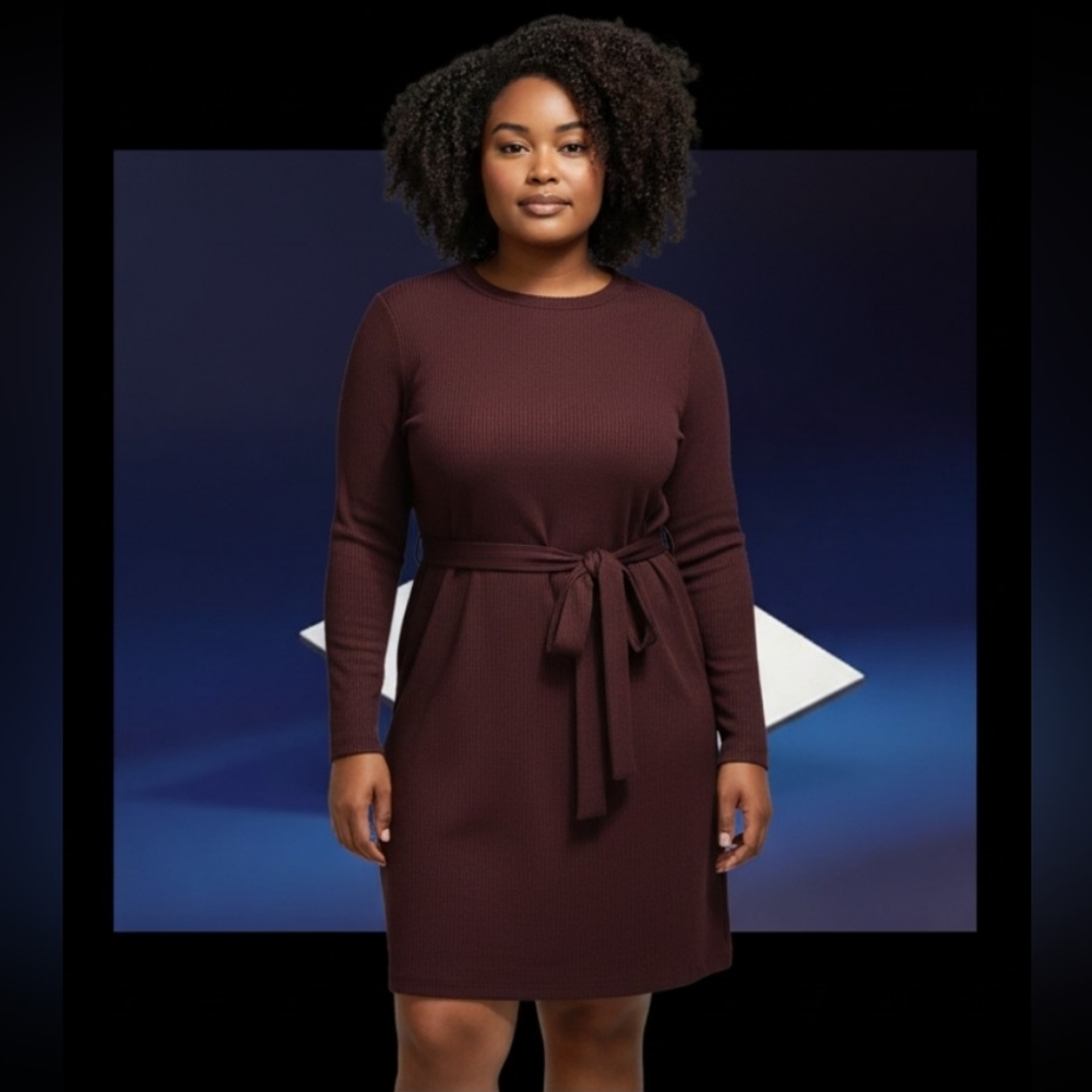 Elegant Long Sleeve Brown Dress